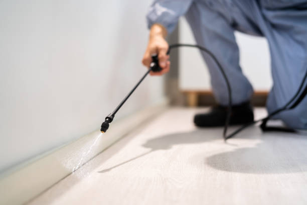 Licensed Fumigation Services service in Lyndhurst, VA - Nex Pest Control