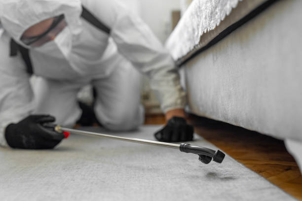 Professional Fumigation Services technician working in Lyndhurst, VA
