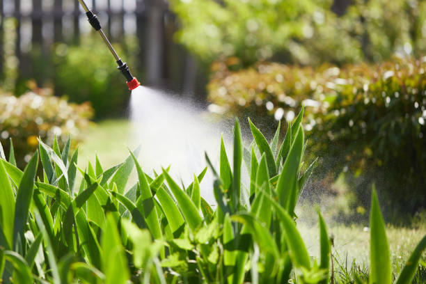 24/7 Emergency Fumigation Services experts in Lyndhurst, VA