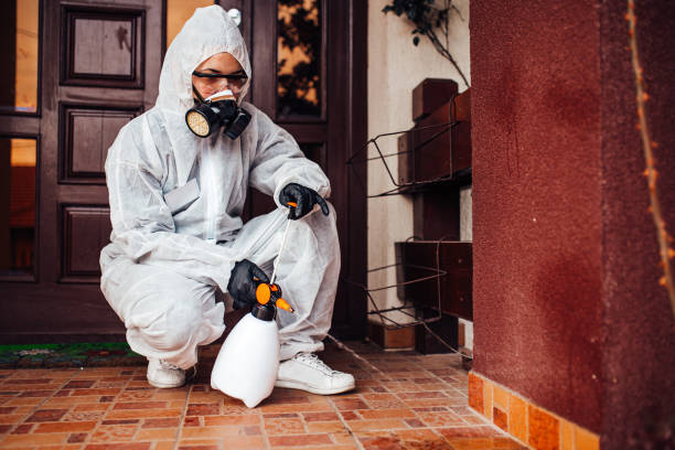 Reliable Fumigation Services contractor in Lyndhurst, VA by Nex Pest Control