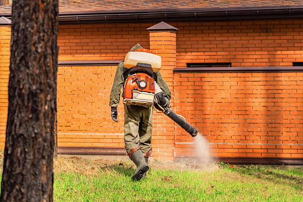Top rated local Fumigation Services specialists in Lyndhurst, VA